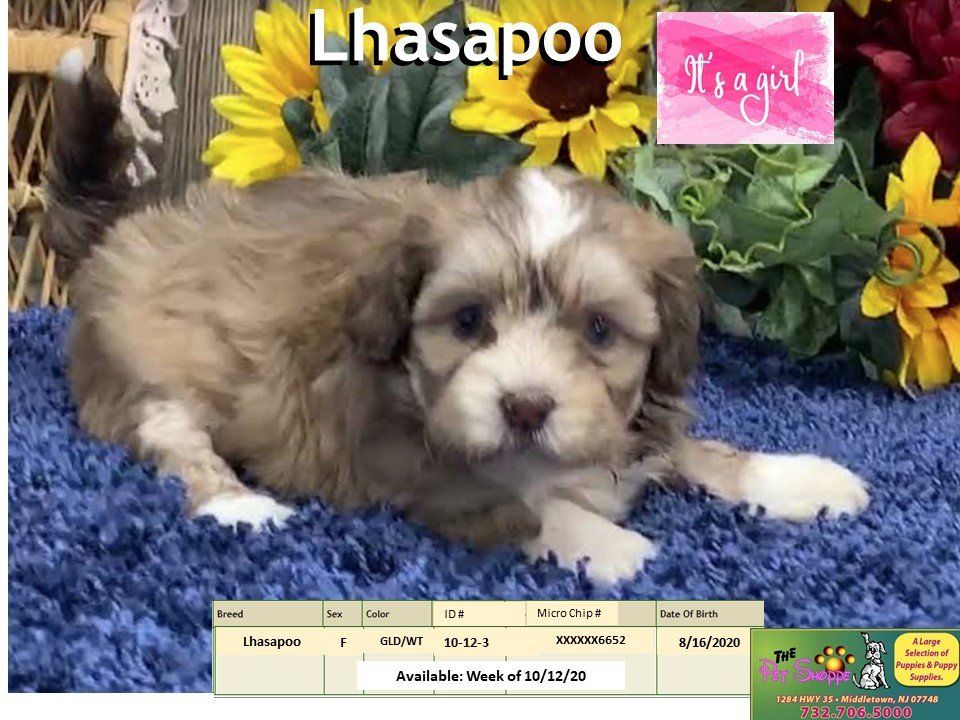 The Pet Shoppe Pet Store Middletown, NJ