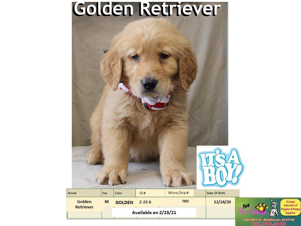 The Pet Shoppe Pet Store Middletown, NJ