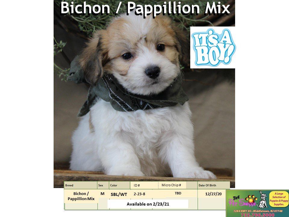 The Pet Shoppe Pet Store Middletown, NJ