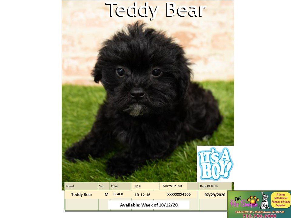 The Pet Shoppe Pet Store Middletown, NJ