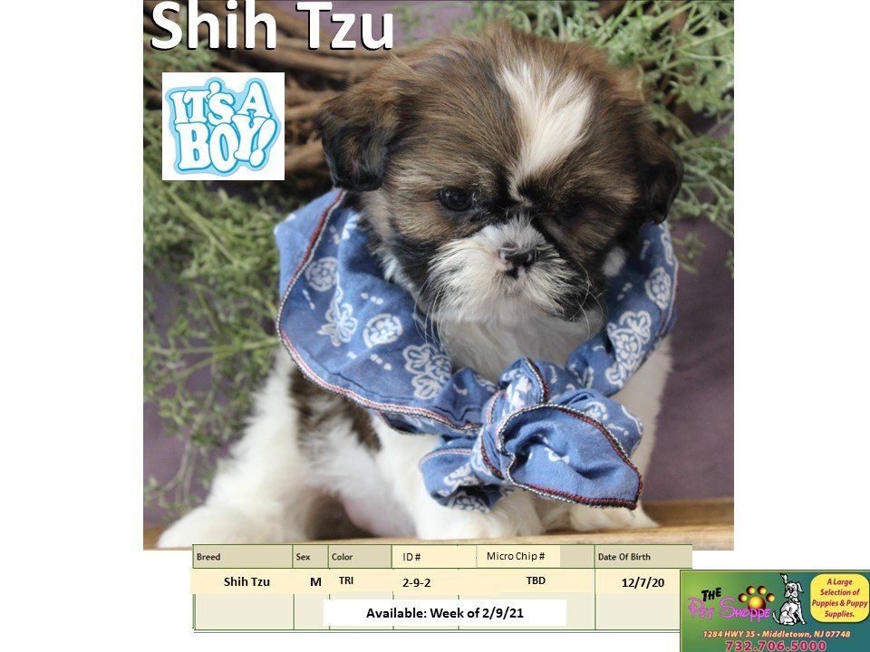 The Pet Shoppe Pet Store Middletown, NJ