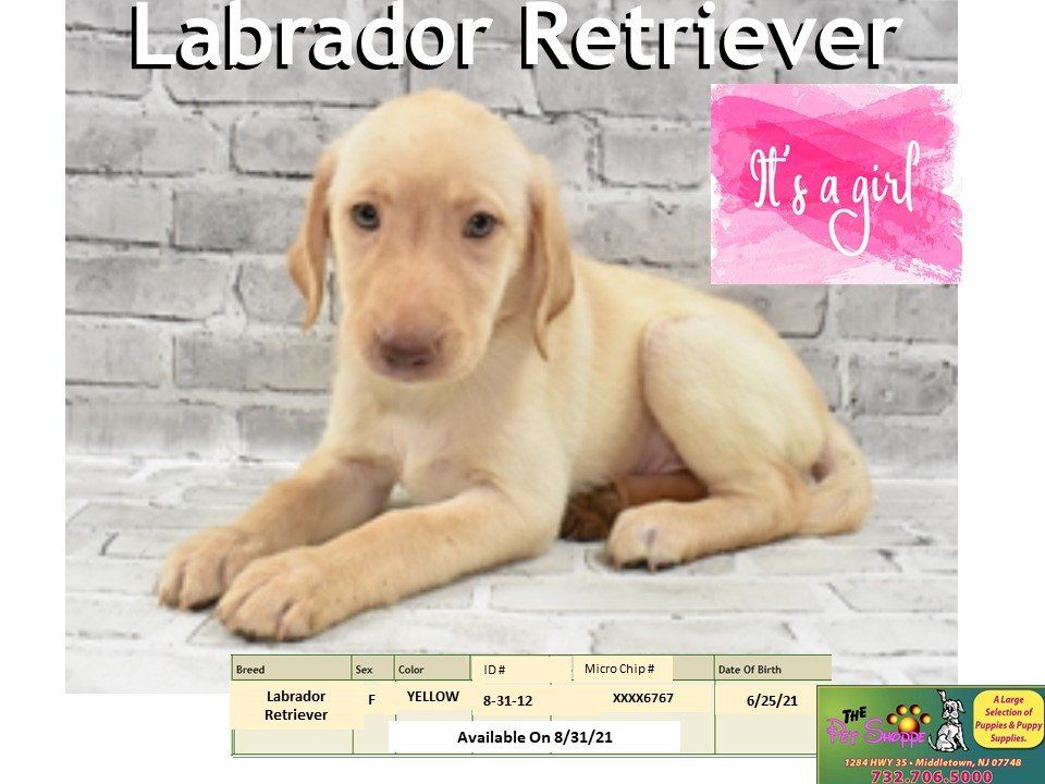 The Pet Shoppe Pet Store Middletown, NJ