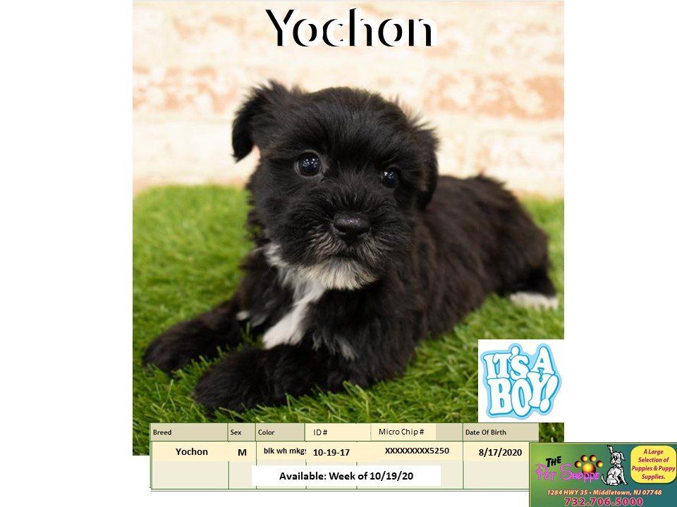 The Pet Shoppe Pet Store Middletown, NJ