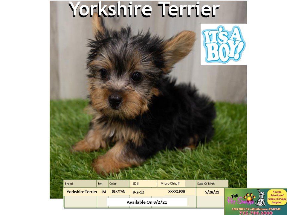 The Pet Shoppe Pet Store Middletown, NJ