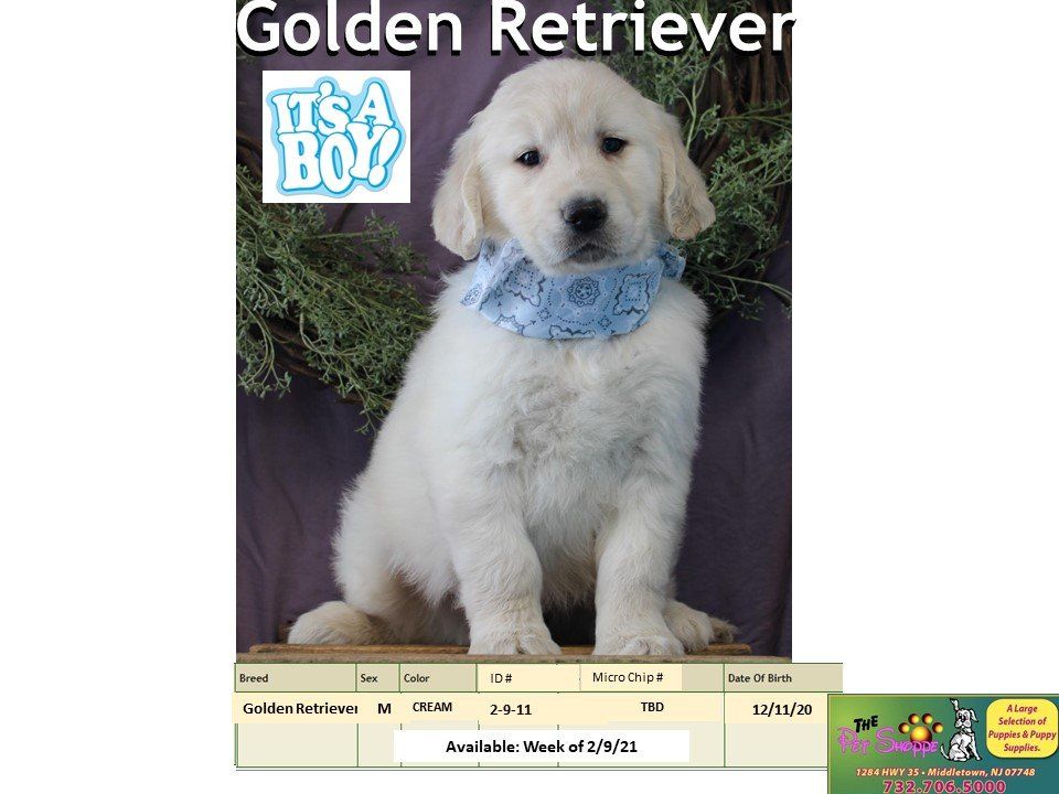 The Pet Shoppe Pet Store Middletown, NJ