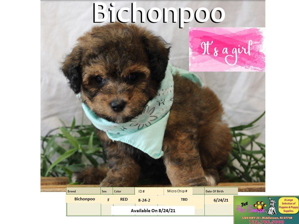 The Pet Shoppe Pet Store Middletown, NJ