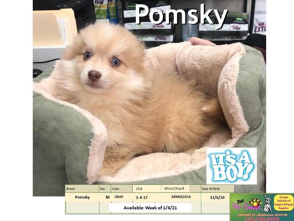 The Pet Shoppe Pet Store Middletown, NJ