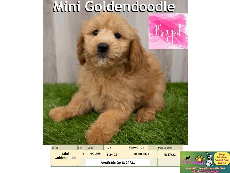 The Pet Shoppe Pet Store Middletown, NJ