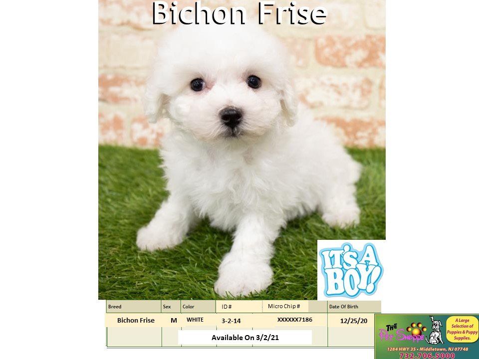 The Pet Shoppe Pet Store Middletown, NJ