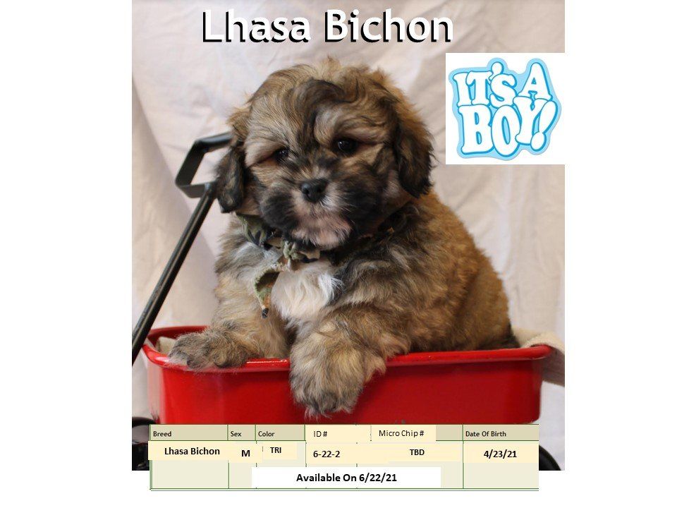 The Pet Shoppe Pet Store Middletown, NJ