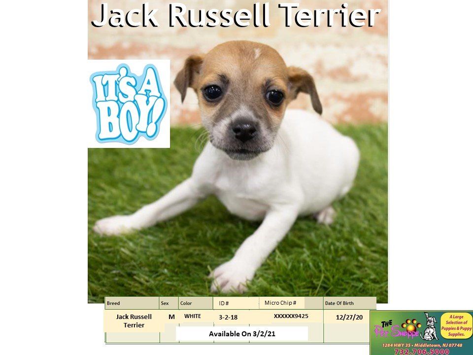 The Pet Shoppe Pet Store Middletown, NJ