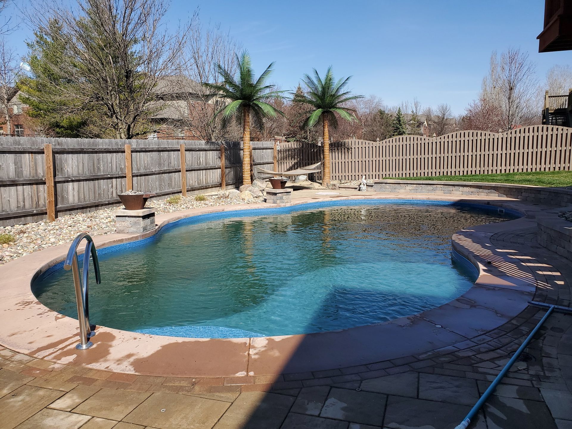 A large swimming pool in a backyard with palm trees and a fence.