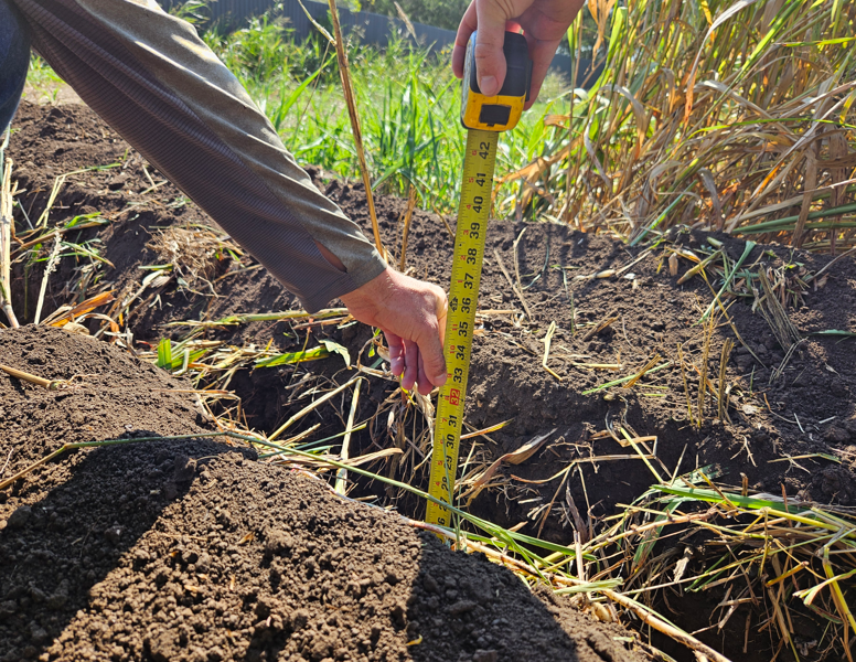 Person measuring soil depth with a yellow tape measure in a muddy field.