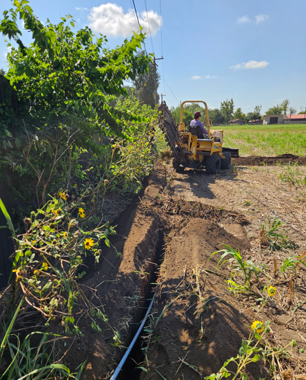 Tractor grading a dirt path beside green bushes and yellow flowers under a blue sky