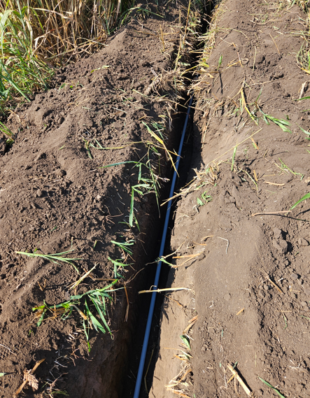 Narrow trench cut through dry soil beside grass, with a black pipe running along the bottom.