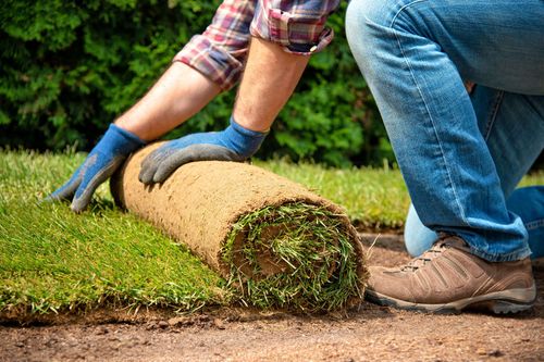 MorningStar Sod & Supply, Inc