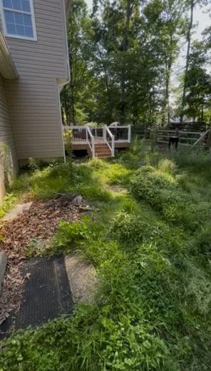 A side view of a house with a raised wooden deck leading into a lush, overgrown backyard filled with tall green grass.