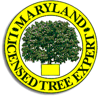D&D Tree Removal - Logo