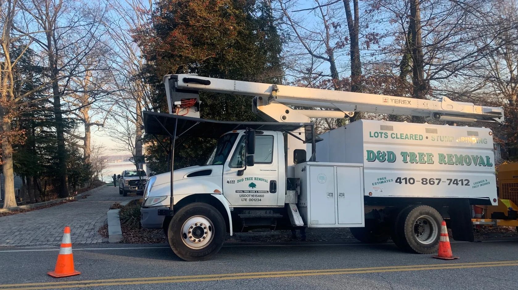 Tree removal services