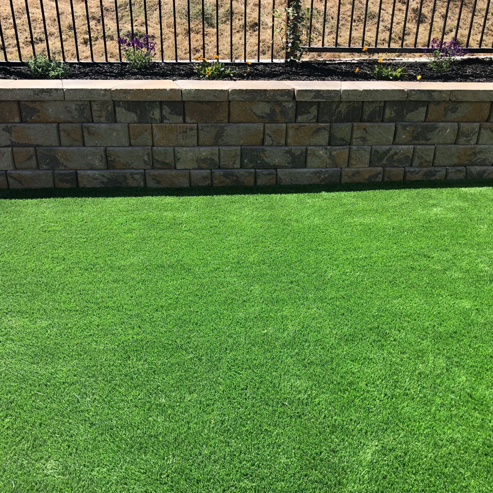 Artificial Grass