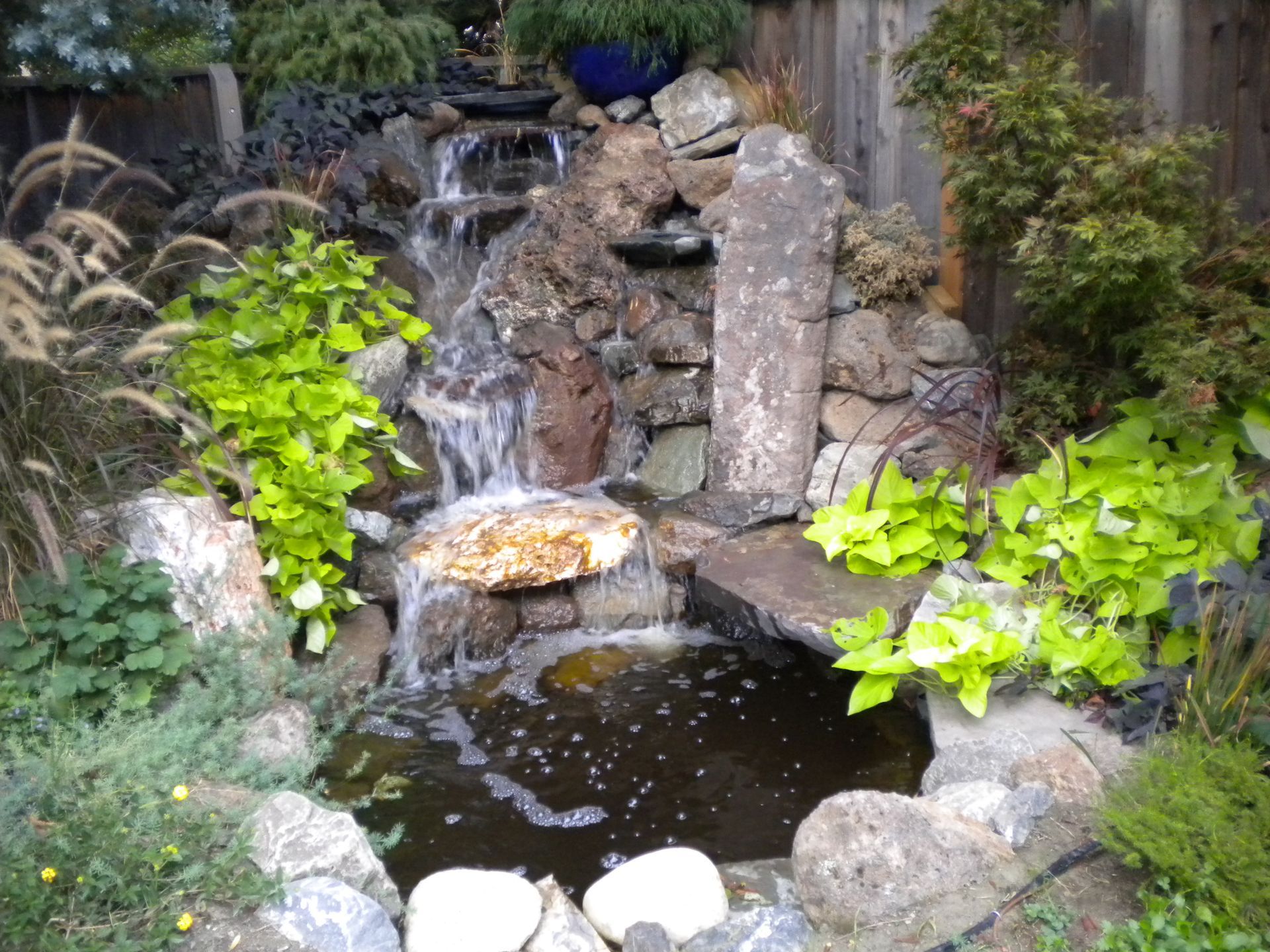 Water Features