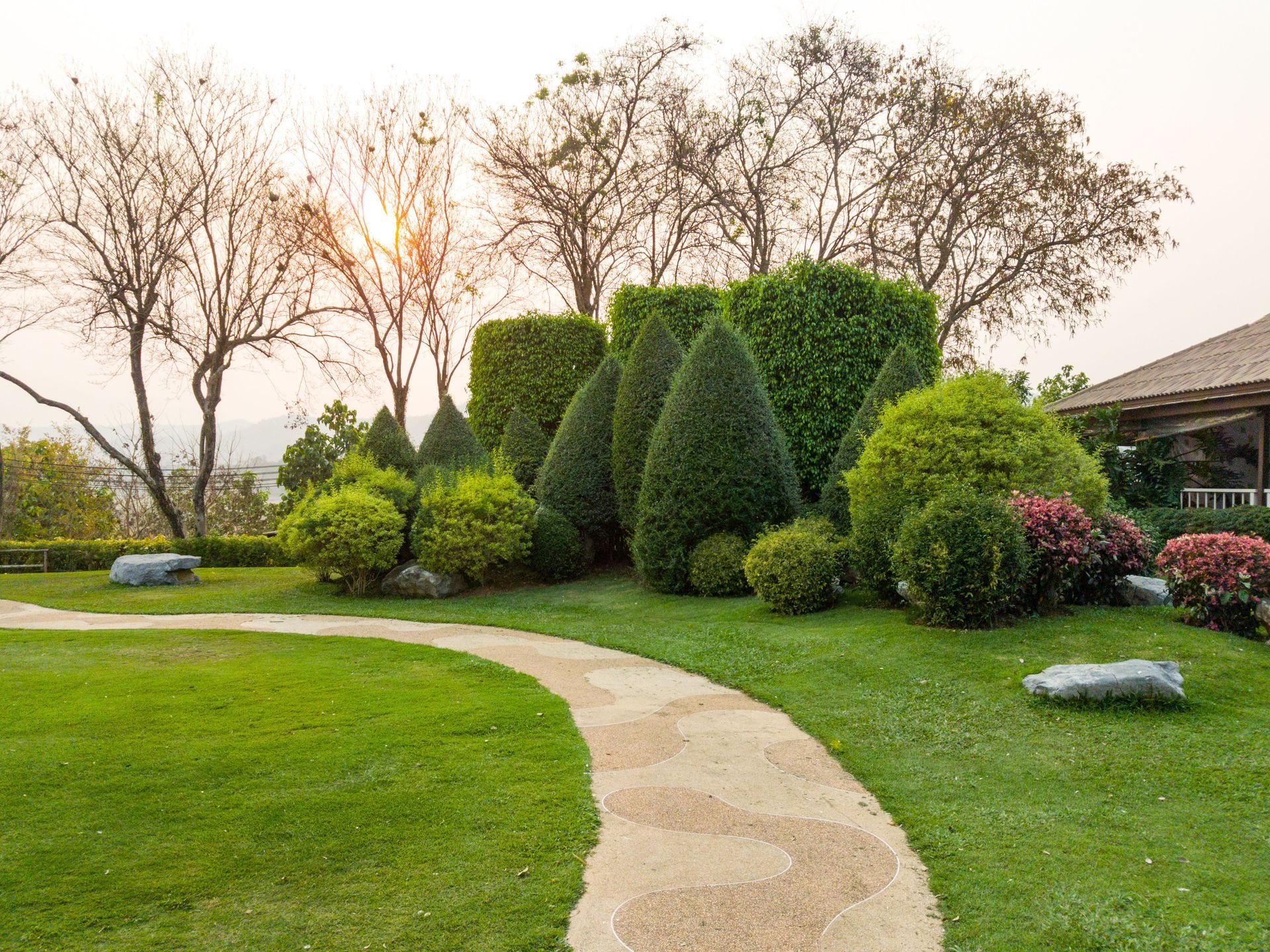 residential tree service