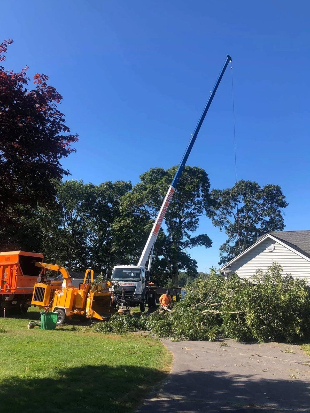 An aerial view of a tree being removed from a power line