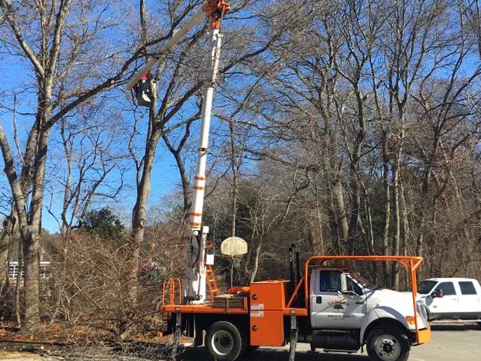 A group of men are cutting down a tree in front of a house.