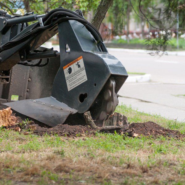 Stump Grinding