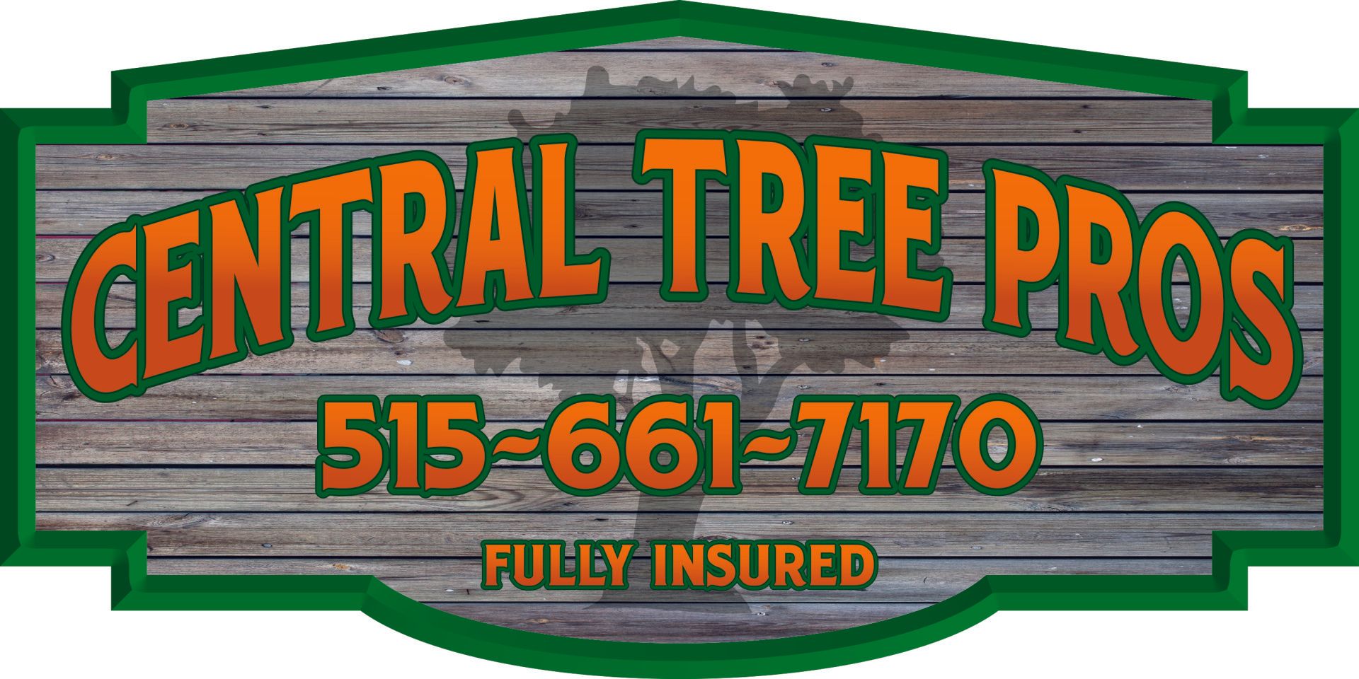 Tree Service Des Moines, IA Central Tree Pros