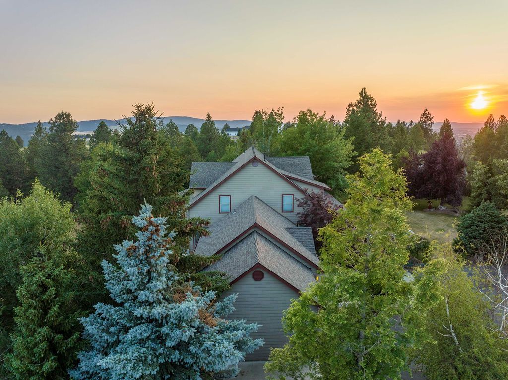An aerial view of a house surrounded by trees at sunset