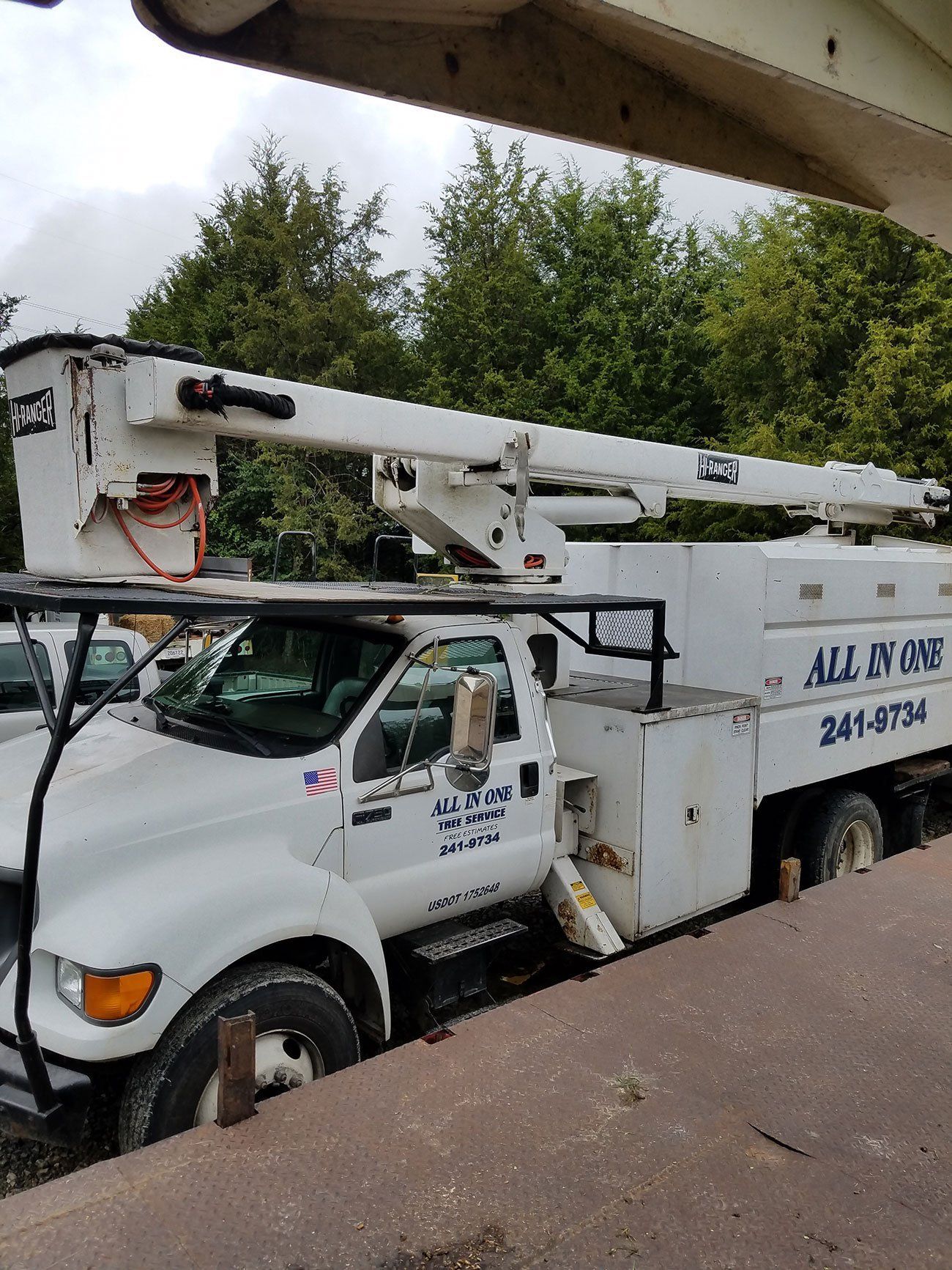 Tree removal vehicle