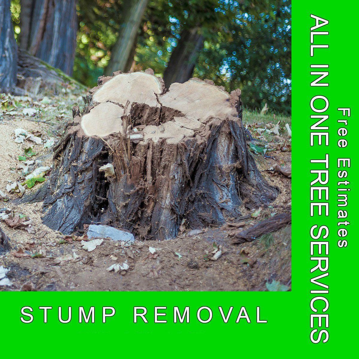 Stump grinding