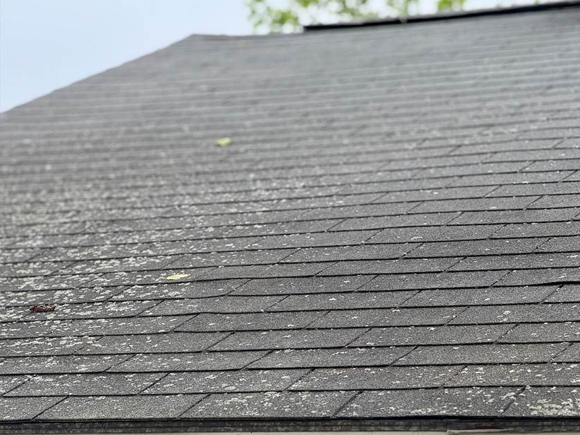 Close-up of a dark shingled roof with patches of moss and tree branches in the background