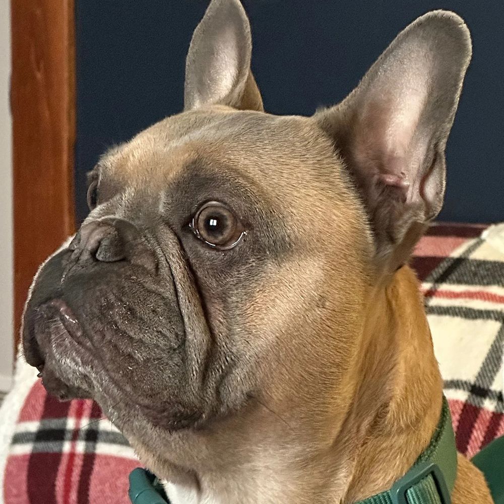 The Massa Mortgage Team