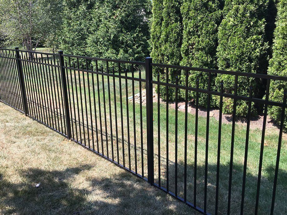 Black metal fence in a yard with green grass and trees in the background.