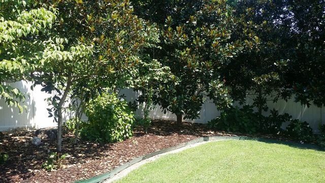 Green lawn bordered by mulch and trees against a white wall.
