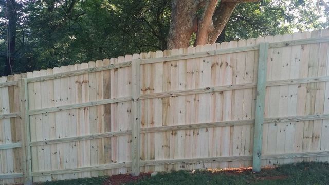 Wooden fence in a yard, light brown with green posts and trim, under a large tree.
