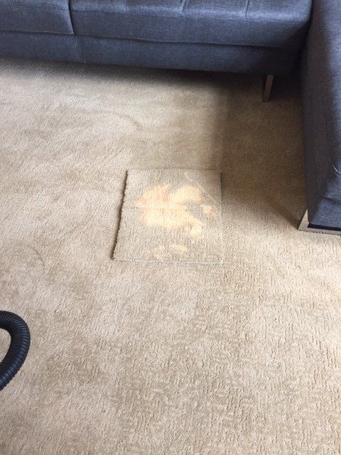 Discolored Carpet