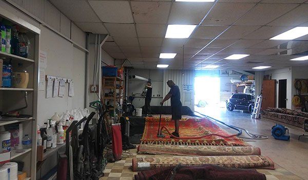 Rug cleaning service