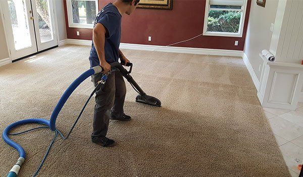 Carpet Cleaning