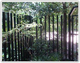 A black metal fence stands in front of lush green trees and foliage, with a small gate on the right side.