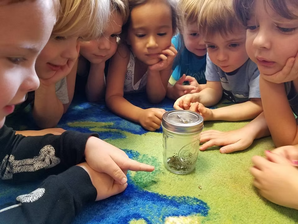 Children gathered around a jar, observing its contents, on a colorful rug; one child points.