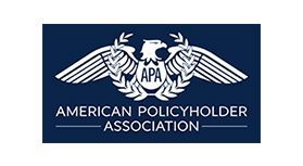 American Policy Association