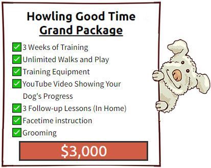 Silver Howling Good Time Grand Package