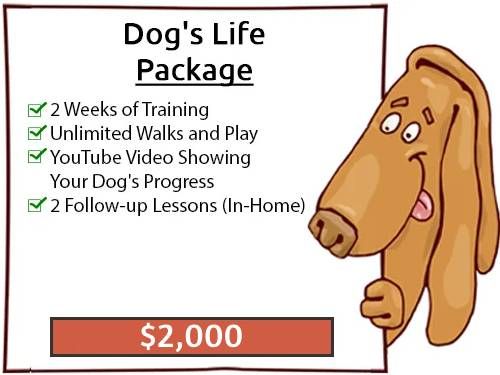 Dog's Life Package