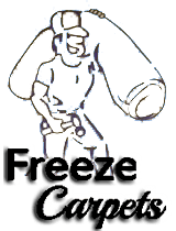 Freeze Carpets - Logo