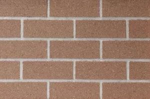 Chestnut Hill Velour