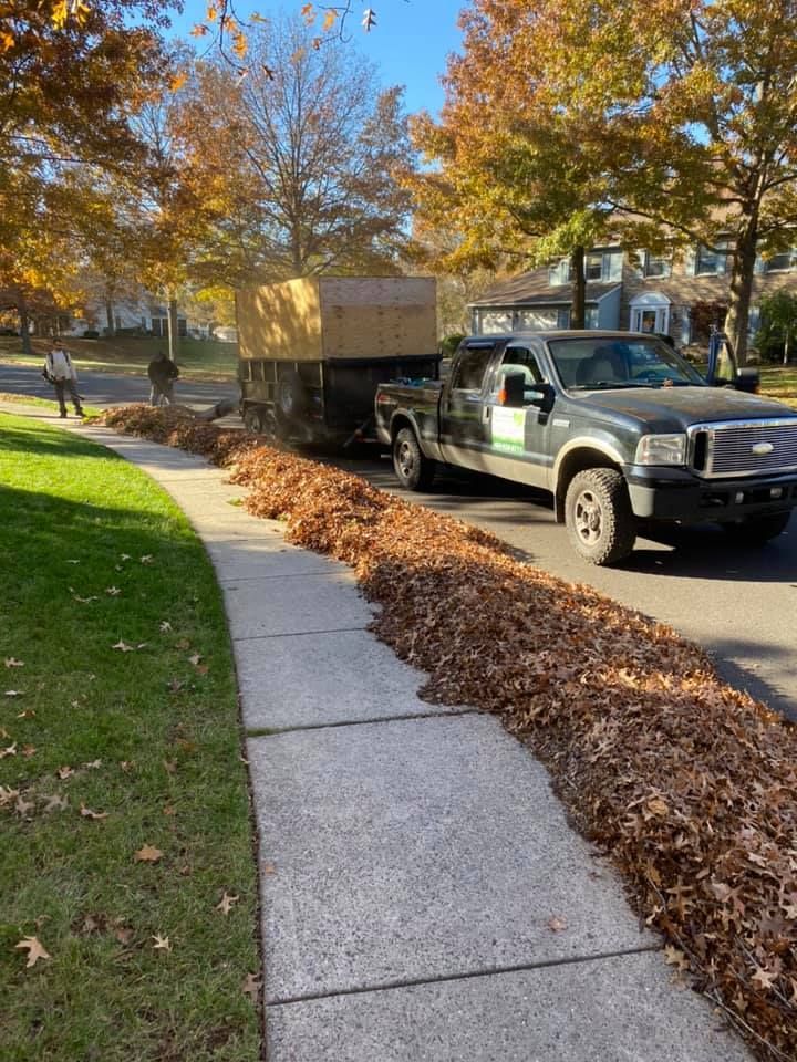Truck loading leaves next to a sidewalk with a person visible in the background, autumn setting.