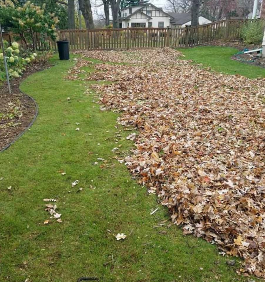 A lawn covered in fallen leaves, with a clear green area; a black trash can sits in the background.